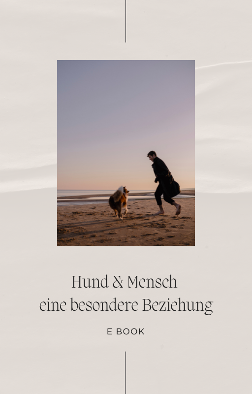 E- Book Hund & Mensch Beziehung